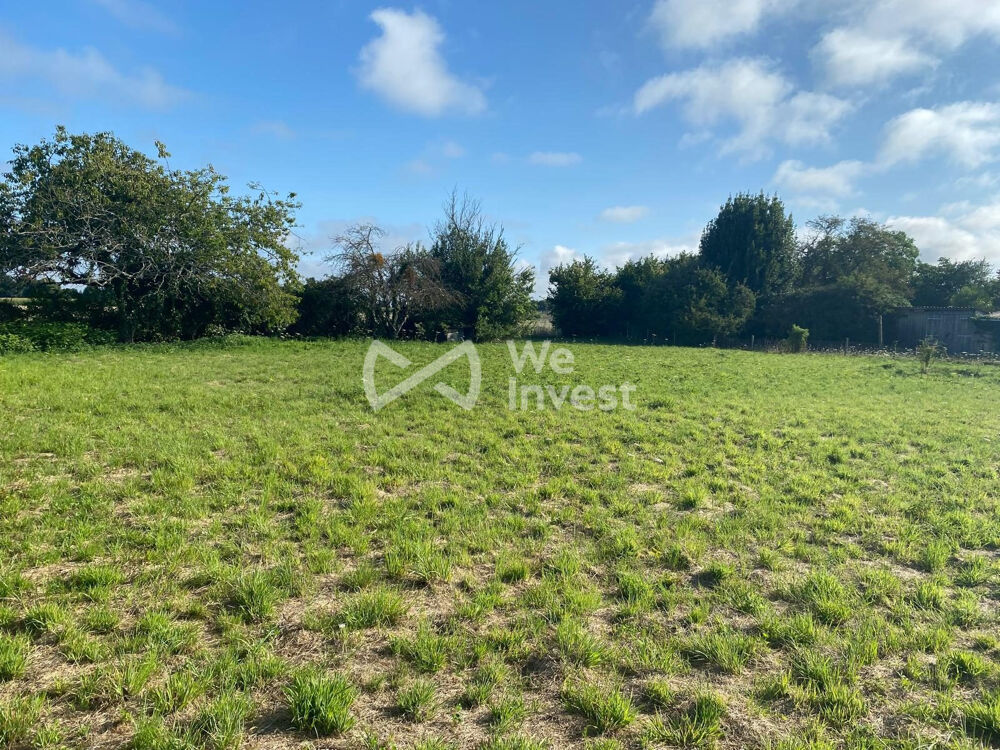Vente Terrain Terrain constructible de 2008 m2 à Sargé lès Le Mans Sargé-lès-le-mans