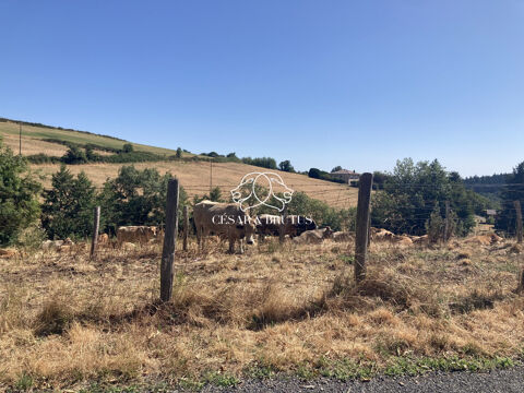   Terrain agricole 