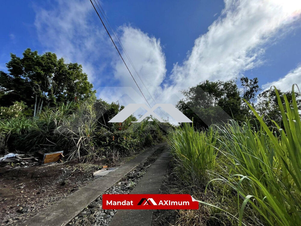 Vente Terrain Terrain environ 2800 m² constructible Les lianes - Saint Joseph Saint-joseph