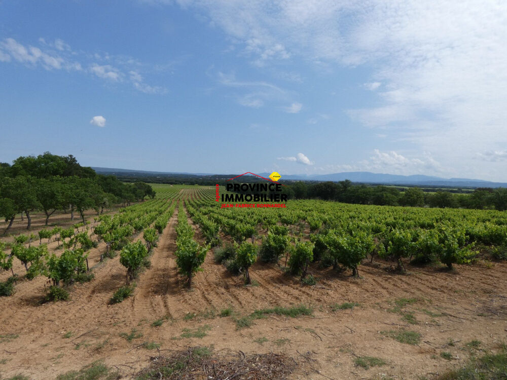 Vente Terrain PARCELLE DE VIGNES CEPAGE GRENACHE ET CARIGNAN Rochegude