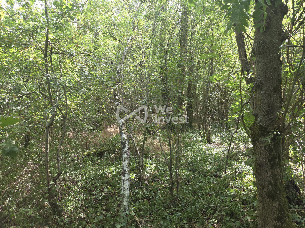Vente Terrain bois Charny-sur-meuse