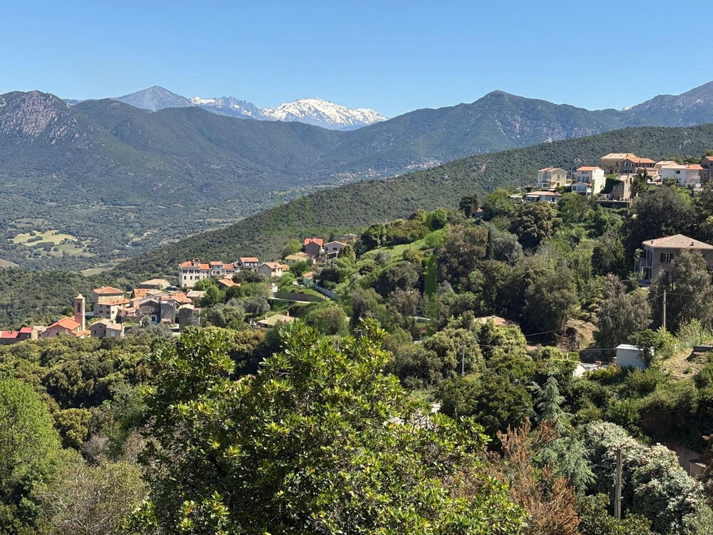à vendre  Maison Calcatoggio (20111)