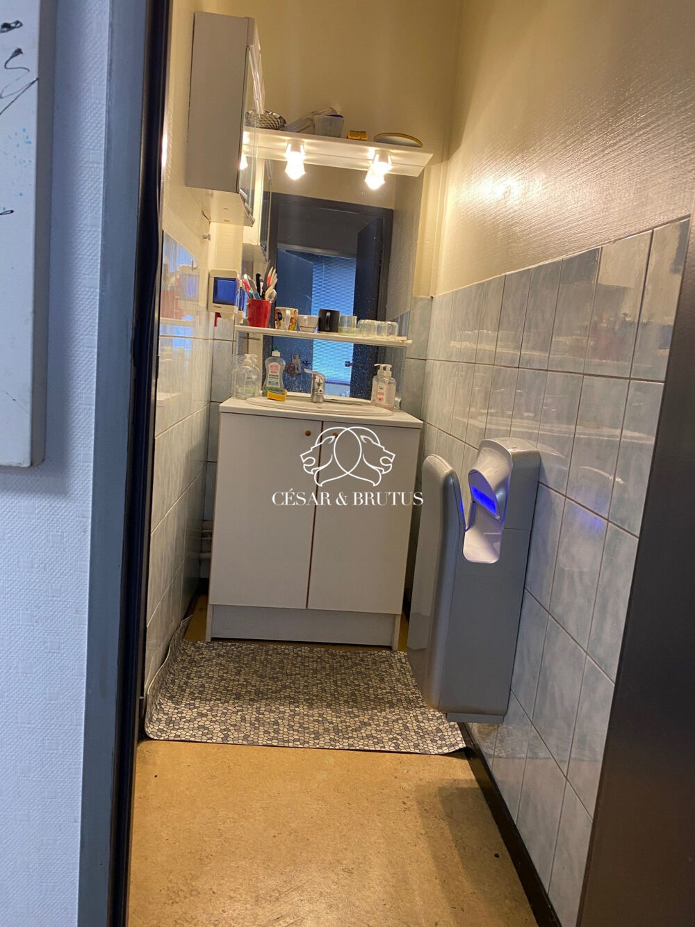   Immobilier Professionnel à vendre Villeurbanne Villeurbanne