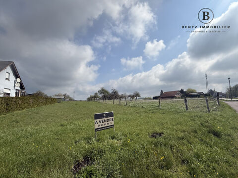 Terrain 24ares / 9ares constructibles - secteur DRULINGEN - ASSW 77000 67320 Asswiller