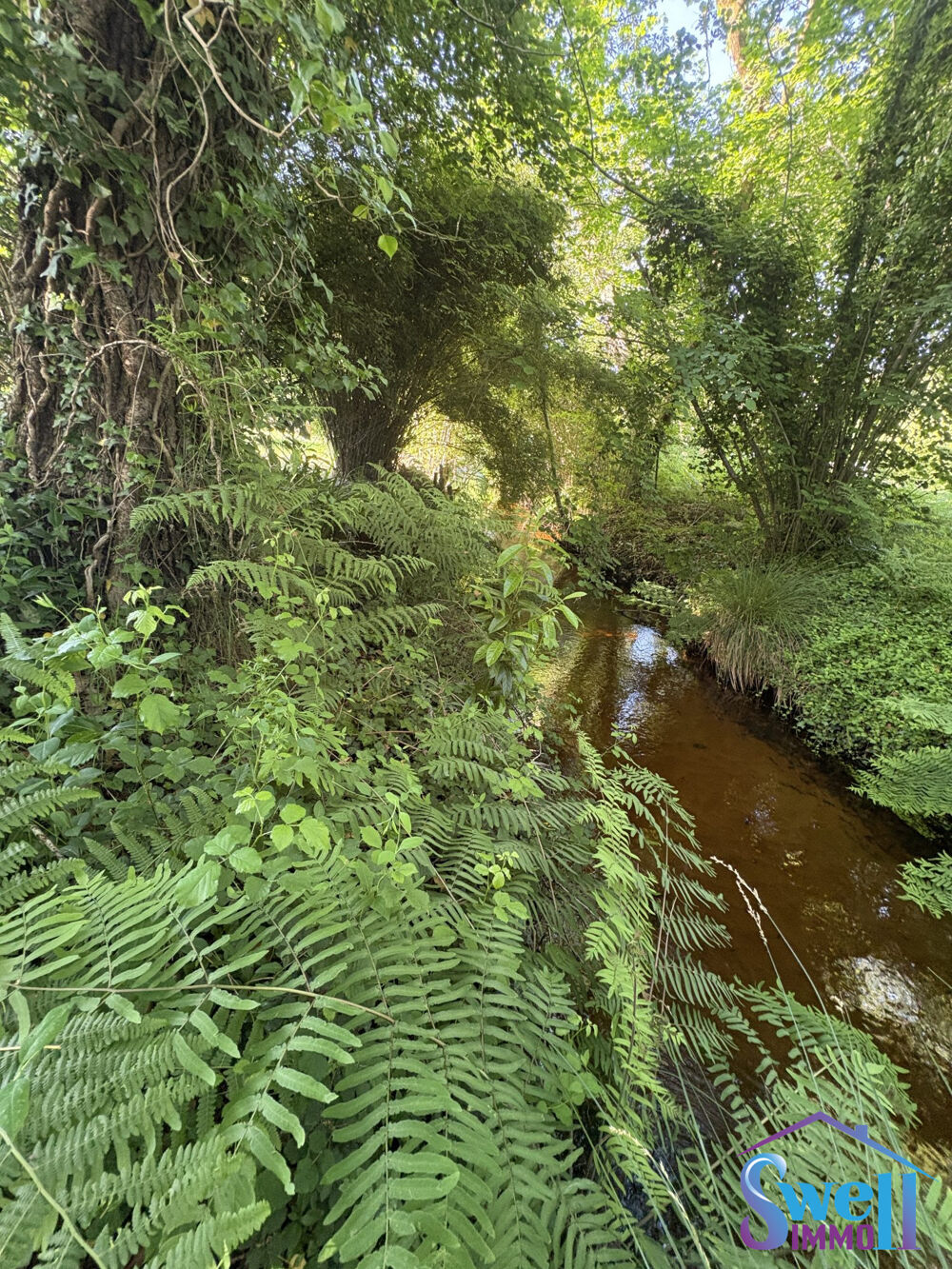 Vente Terrain Terrain à bâtir de 1041m² hors lotissement arboré, viabilis? Messanges