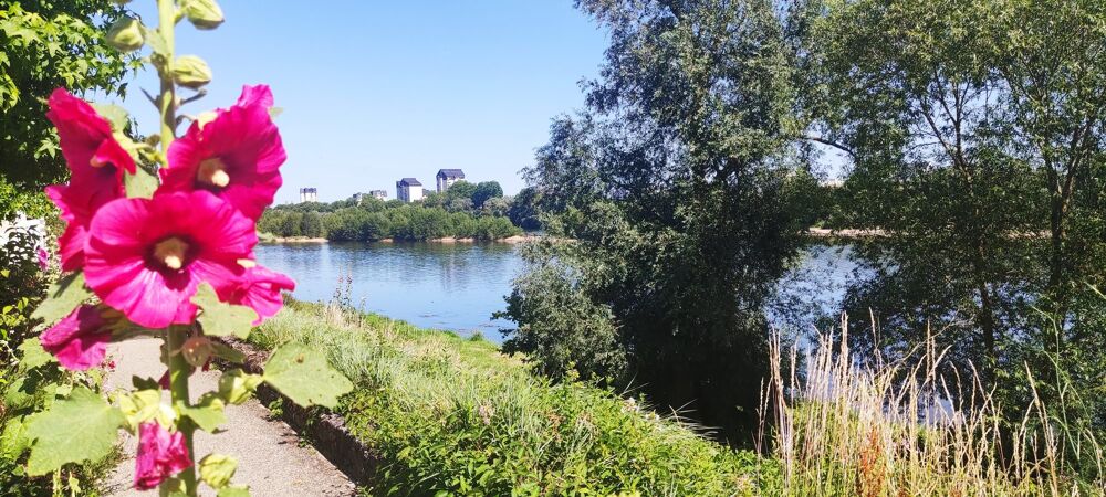  vendre  Appartement Saint-Cyr-sur-Loire (37540)