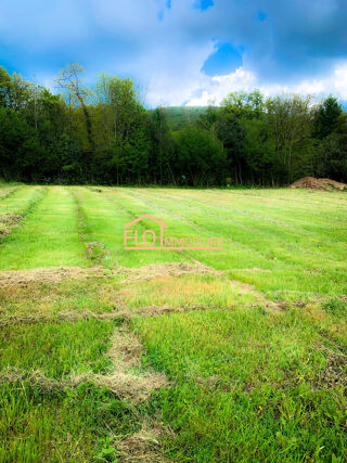  Terrain � vendre 977 m� Murat-sur-v�bre