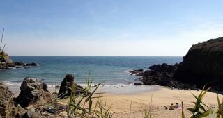  Maison � vendre 4 pi�ces 40 m�