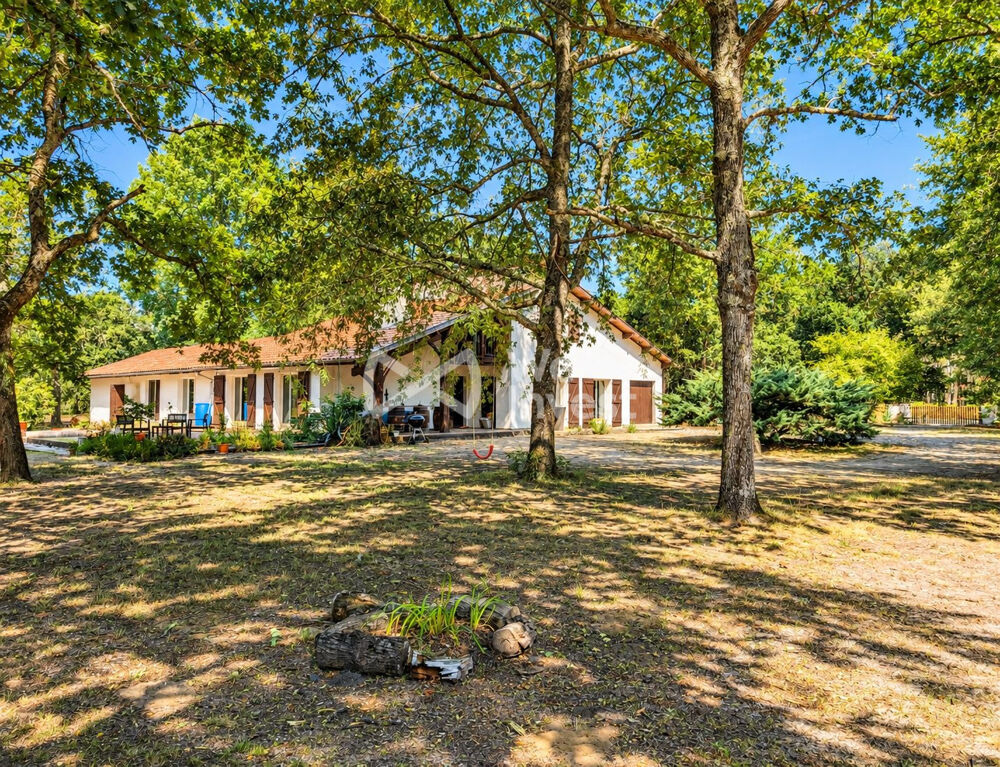 MOUSTEY  DOMAINE FORESTIER 3,2 HA  MAISON 216 M²  7 CH