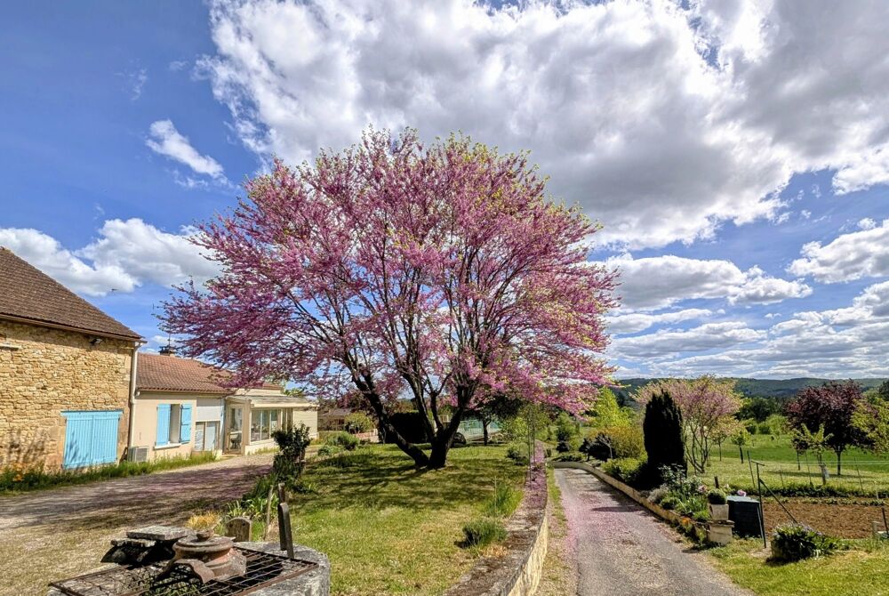 Domaine avec 2 maisons indépendantes - 5 ha - vue panoramique -