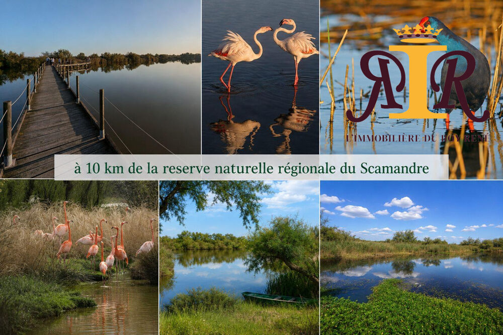 MAS / PROPRIETÉ 7500M2 ' LES COSTIERES' CAMARGUE GARDOISE