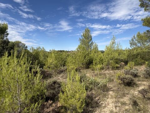   Terrain naturel et forestier – 3 660 m² 