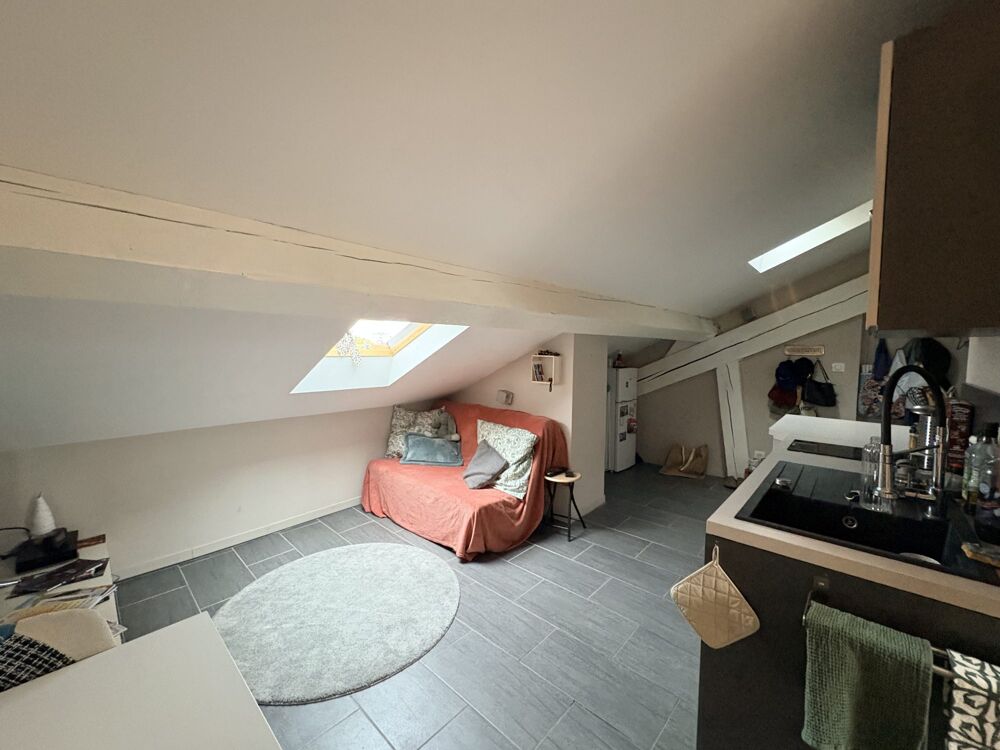 Vente Appartement COQUET STUDIO DERNIER ETAGE Lyon 7