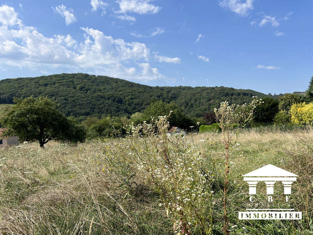 Vente Terrain Terrain à vendre Saint-Sernin-du-Bois Saint-sernin-du-bois