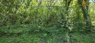  Terrain � vendre 3729 m�