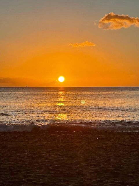 MURS COMMERCIAUX - FRONT DE MER - MEDOC 449500 33930 Vendays-montalivet