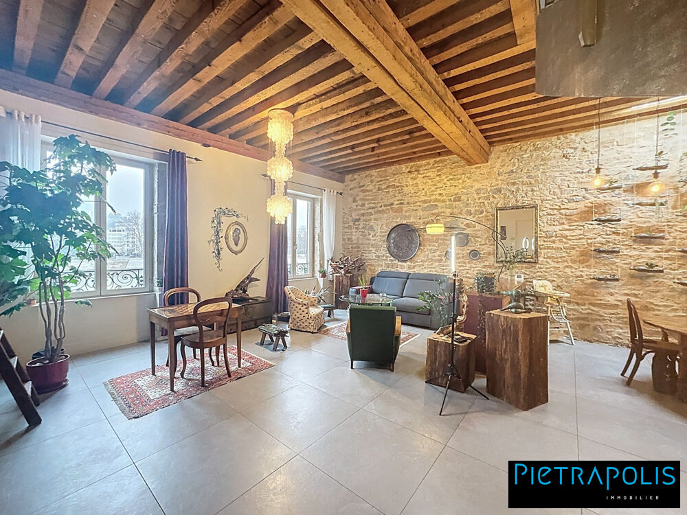 MAGNIFIQUE DUPLEX VUE SAONE