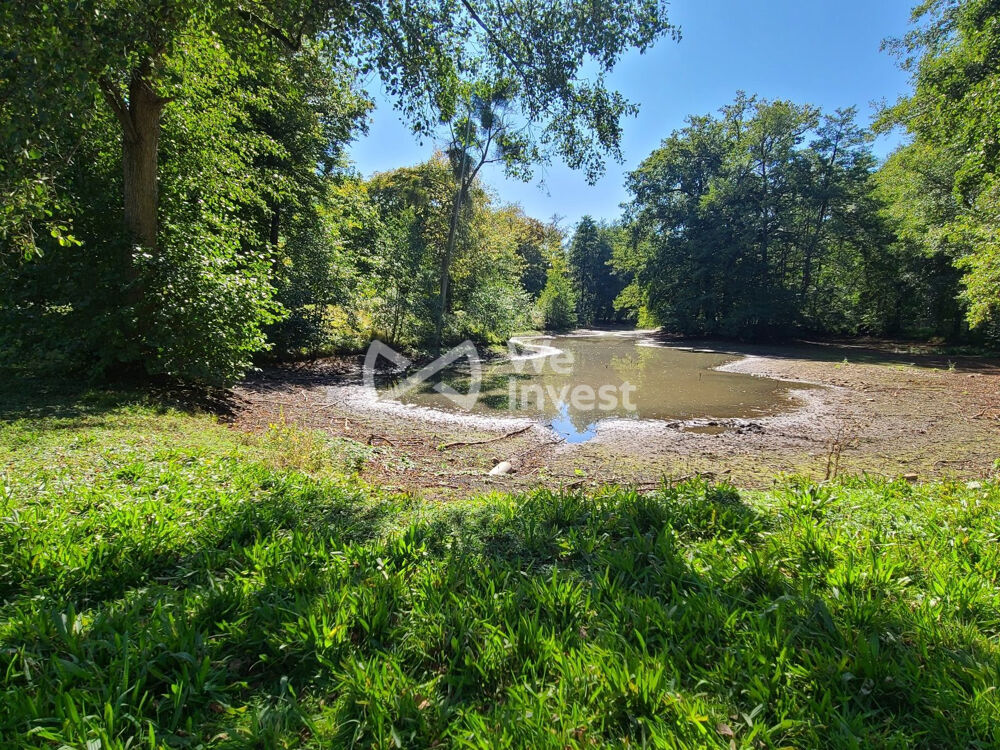 � vendre  Propri�t�/ch�teau Bazeilles (08140)