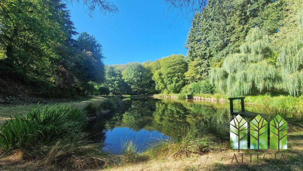 Maison Campagne avec étang, jardin et terrain boisé