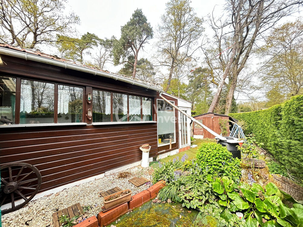 Chalet dans un écrin de verdure