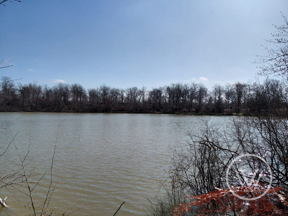 Vente Terrain VENTE ETANG DE 2 HECTARES Bossieu
