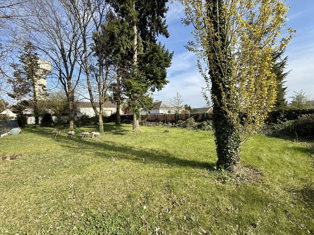 Vente Terrain Terrain constructible dans le bourg de Chaingy Chaingy