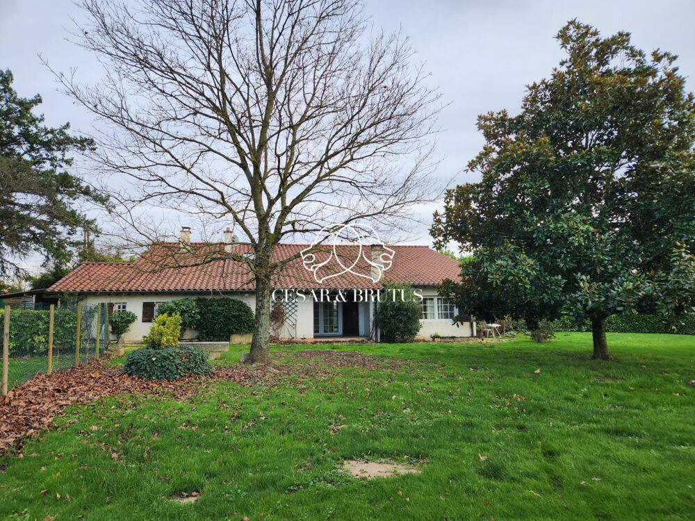 Vente Maison Grande Maison de Campagne dans la Dombes Saint-trivier-sur-moignans