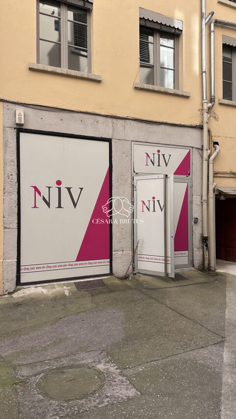 Immobilier Professionnel &agrave; louer Lyon 1409 69006 Lyon