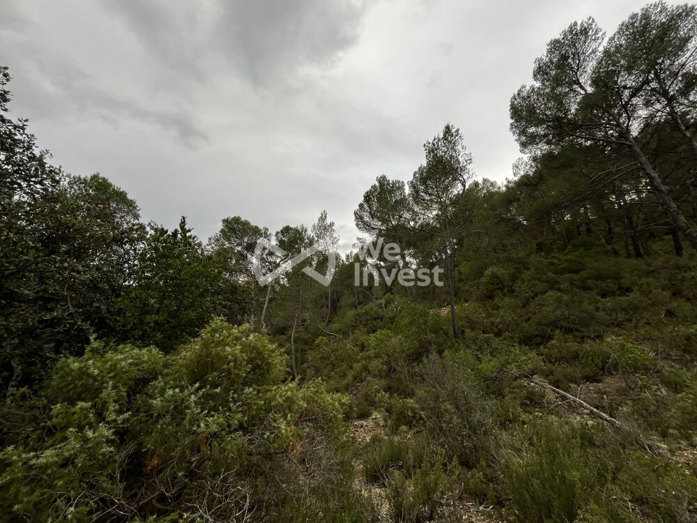 Vente Terrain Terrain à vendre Tourves Tourves