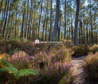  Terrain � vendre 493 m�