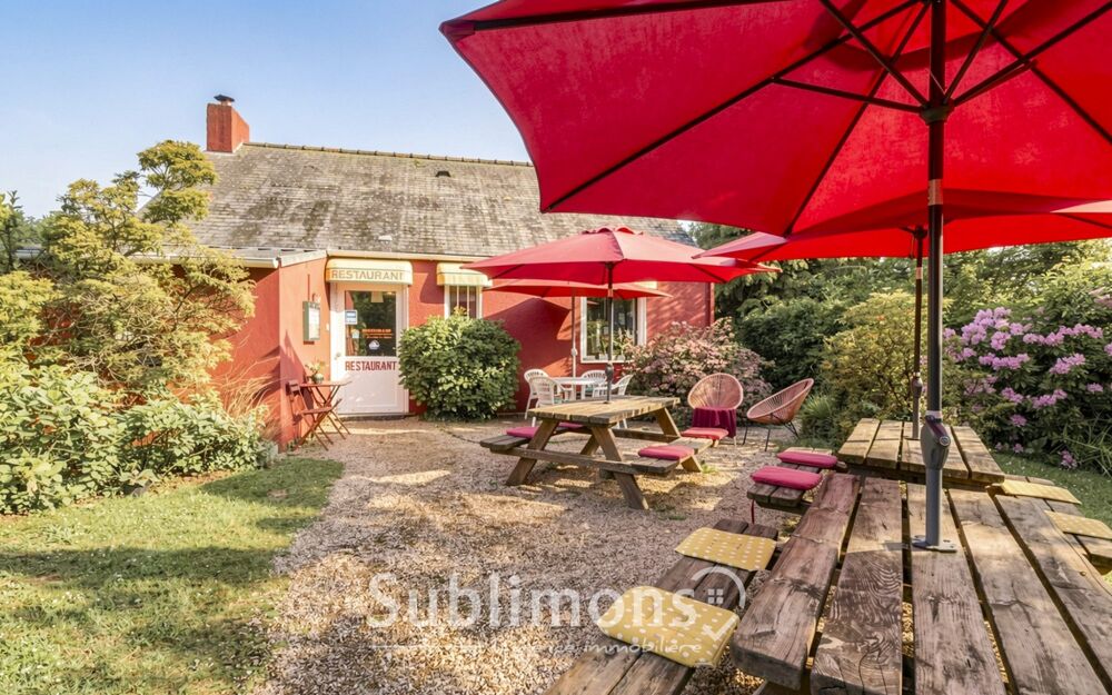   à vendre Malestroit 