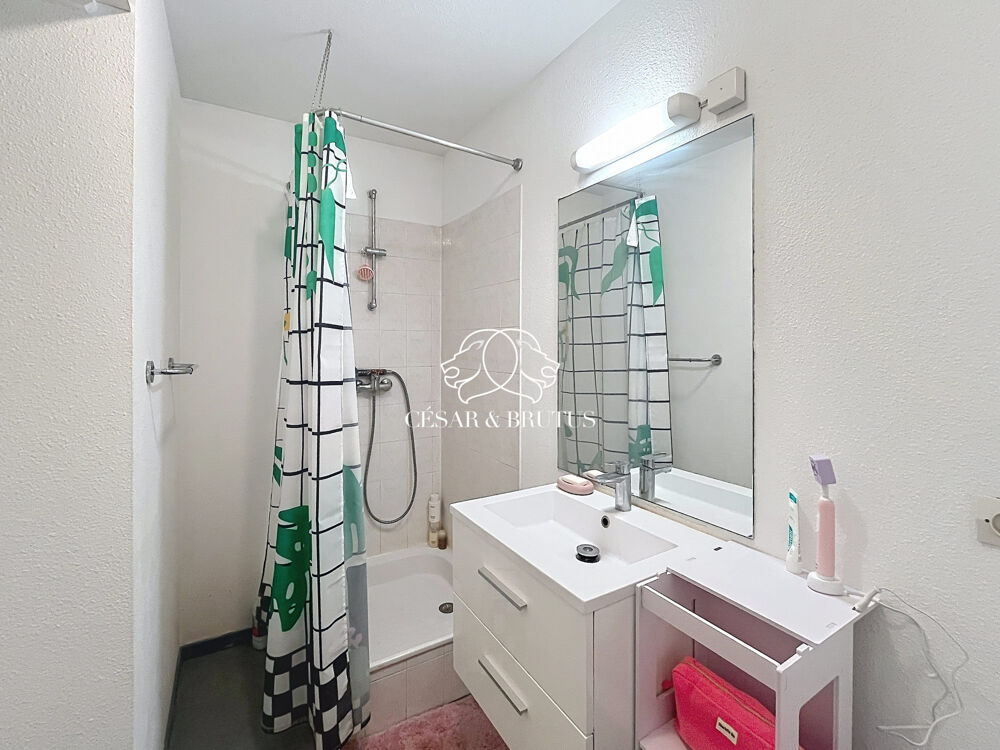 Vente Appartement Appartement à vendre Lyon Lyon 7