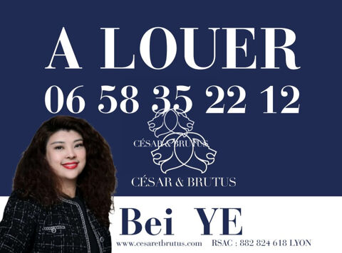   Immobilier Professionnel à louer Lyon 