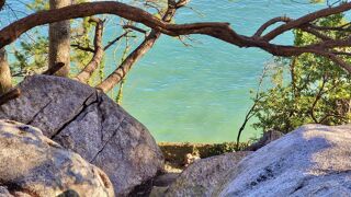  Appartement � vendre 2 pi�ces 43 m�