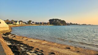  Appartement � vendre 2 pi�ces 42 m�