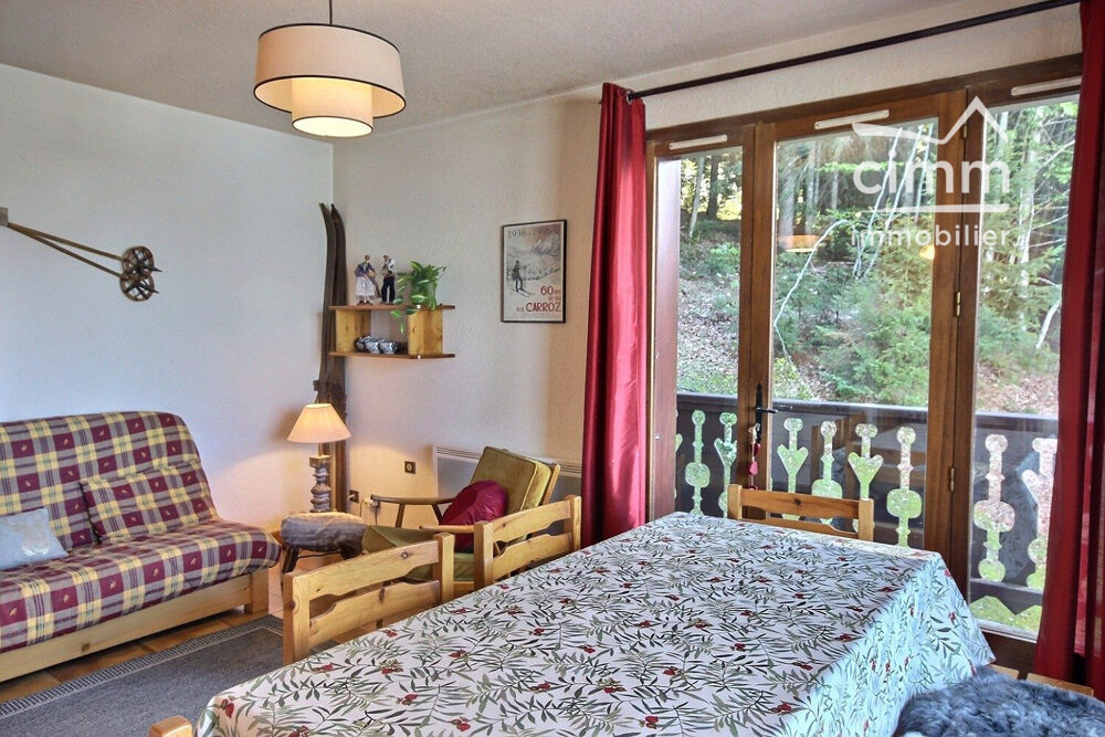 Vente Appartement VENTE APPARTEMENT SKIS AUX PIEDS 74300 LES CARROZ D'ARACHES AVEC Arâches-la-frasse