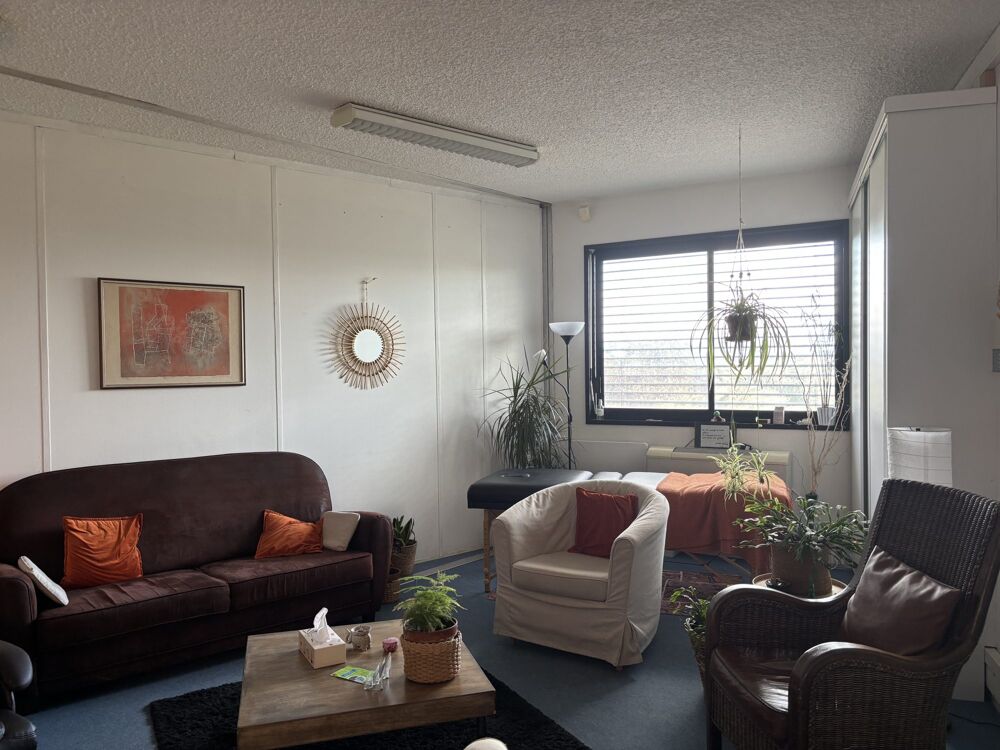   Immobilier Professionnel à louer Ferney-Voltaire Ferney-voltaire