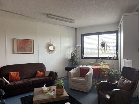   Immobilier Professionnel à louer Ferney-Voltaire 