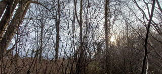  Terrain � vendre 3734 m�