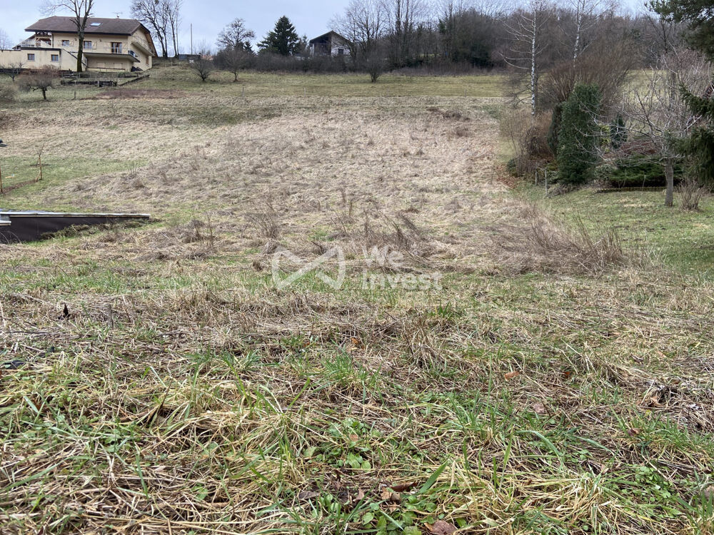 Vente Terrain Terrain constructible et viabilisé de 1 365 m² à Champfromie Champfromier