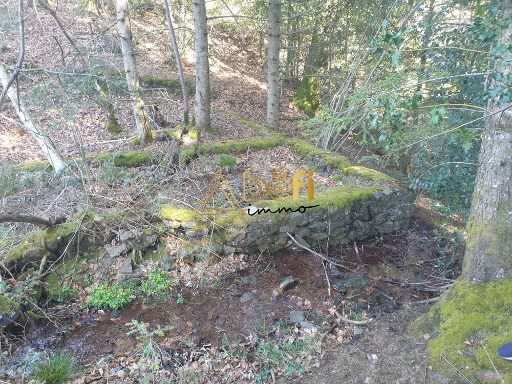 Vente Terrain TERRAIN BOISE D'EXCEPTION AVEC SOURCE NATURELLE Messeix