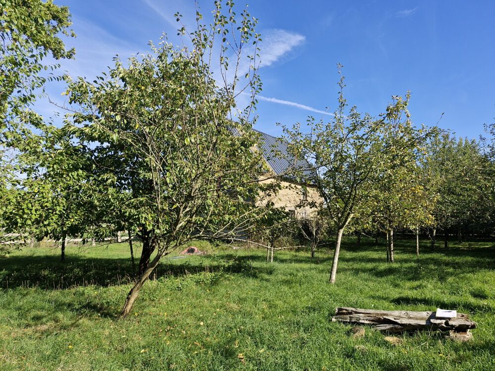 Vente Maison VERGER AVEC BATIMENT Valdallière