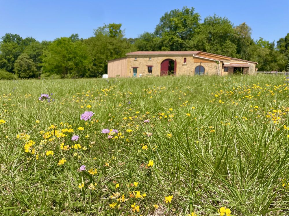 Vente Maison Une perle rare dans écrin de verdure dans un cadre naturel pré Lalinde