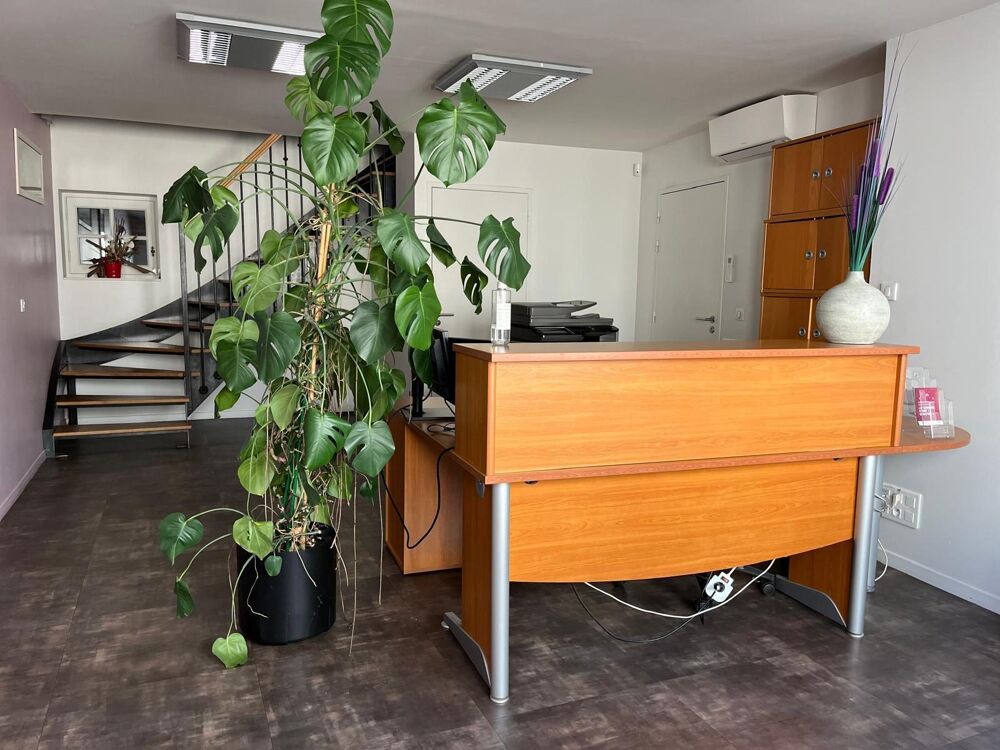à vendre  Maison Albi (81000)