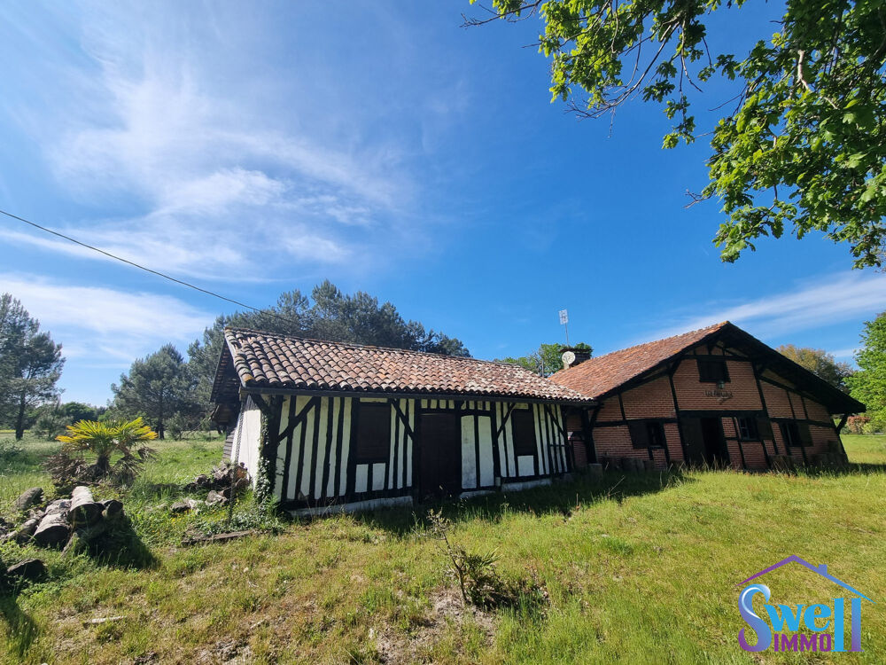 Propriété sur 3635m² avec maison traditionnelle authentique T