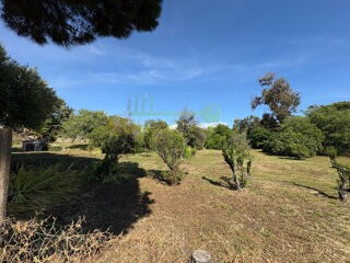  Terrain à vendre 1226 m²