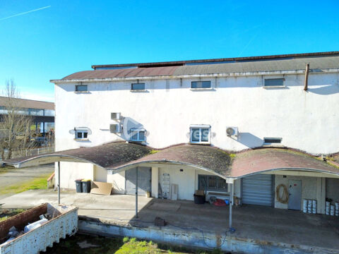 Immobilier Professionnel &agrave; vendre Villaudric 389088 31620 Villaudric