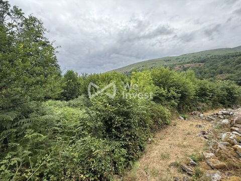   grand terrain de 3800m² avec permis 