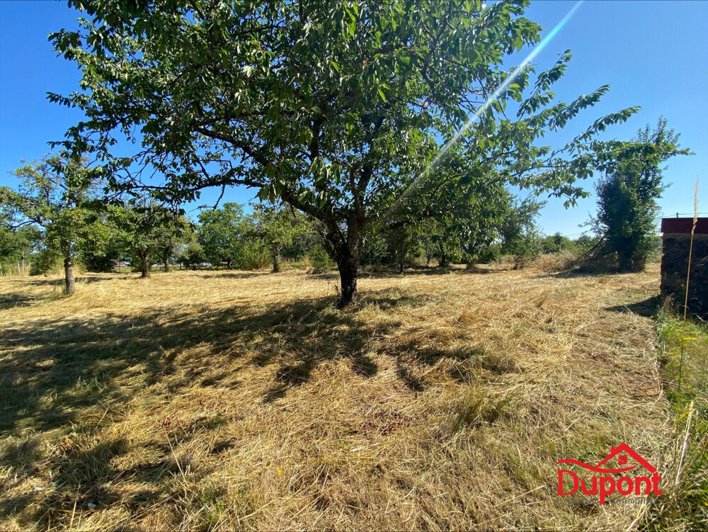 Vente Terrain Trés beau terrain constructible sur la commune de Cussangy Cussangy
