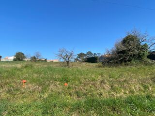  Terrain � vendre 1228 m�